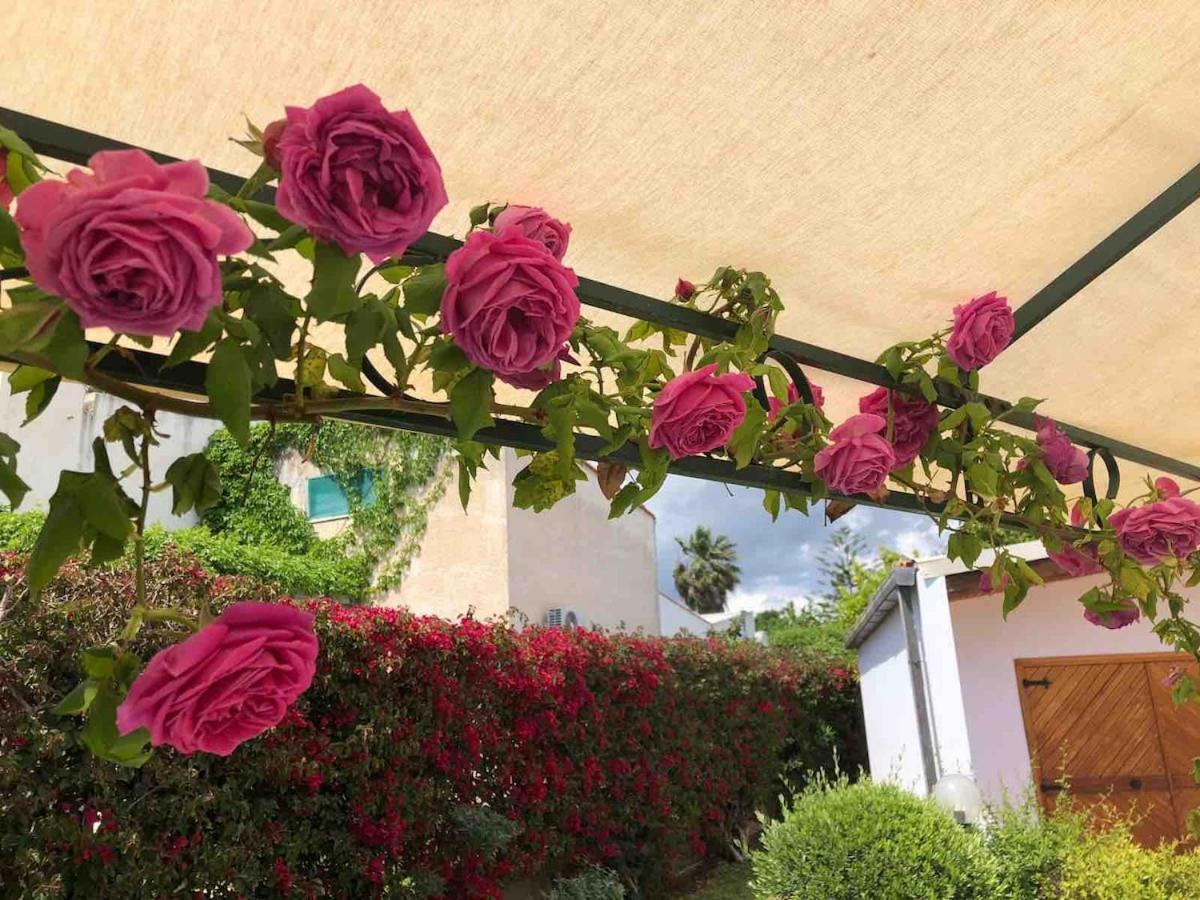 Vila Le Tre Palme Fontane Bianche Exteriér fotografie