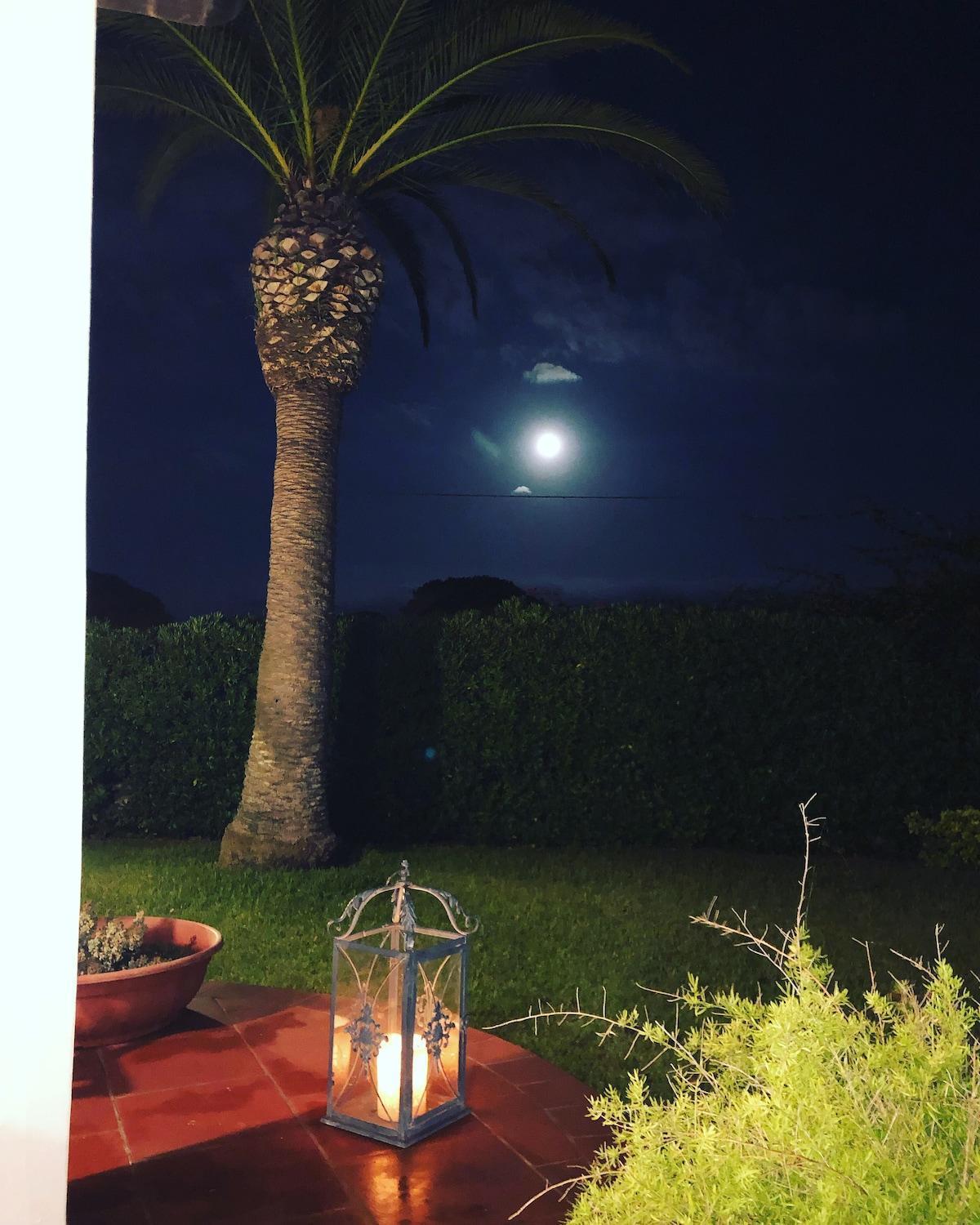 Vila Le Tre Palme Fontane Bianche Exteriér fotografie