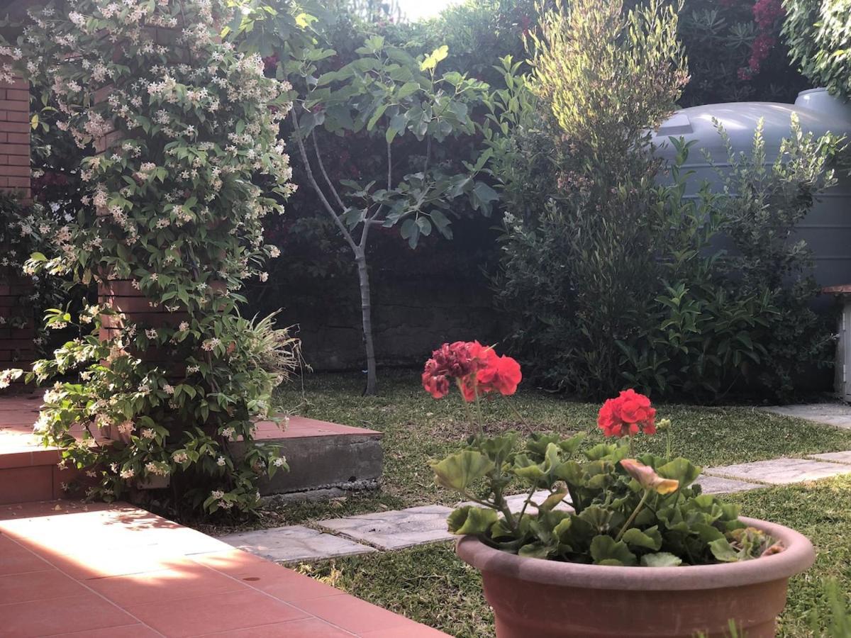 Vila Le Tre Palme Fontane Bianche Exteriér fotografie
