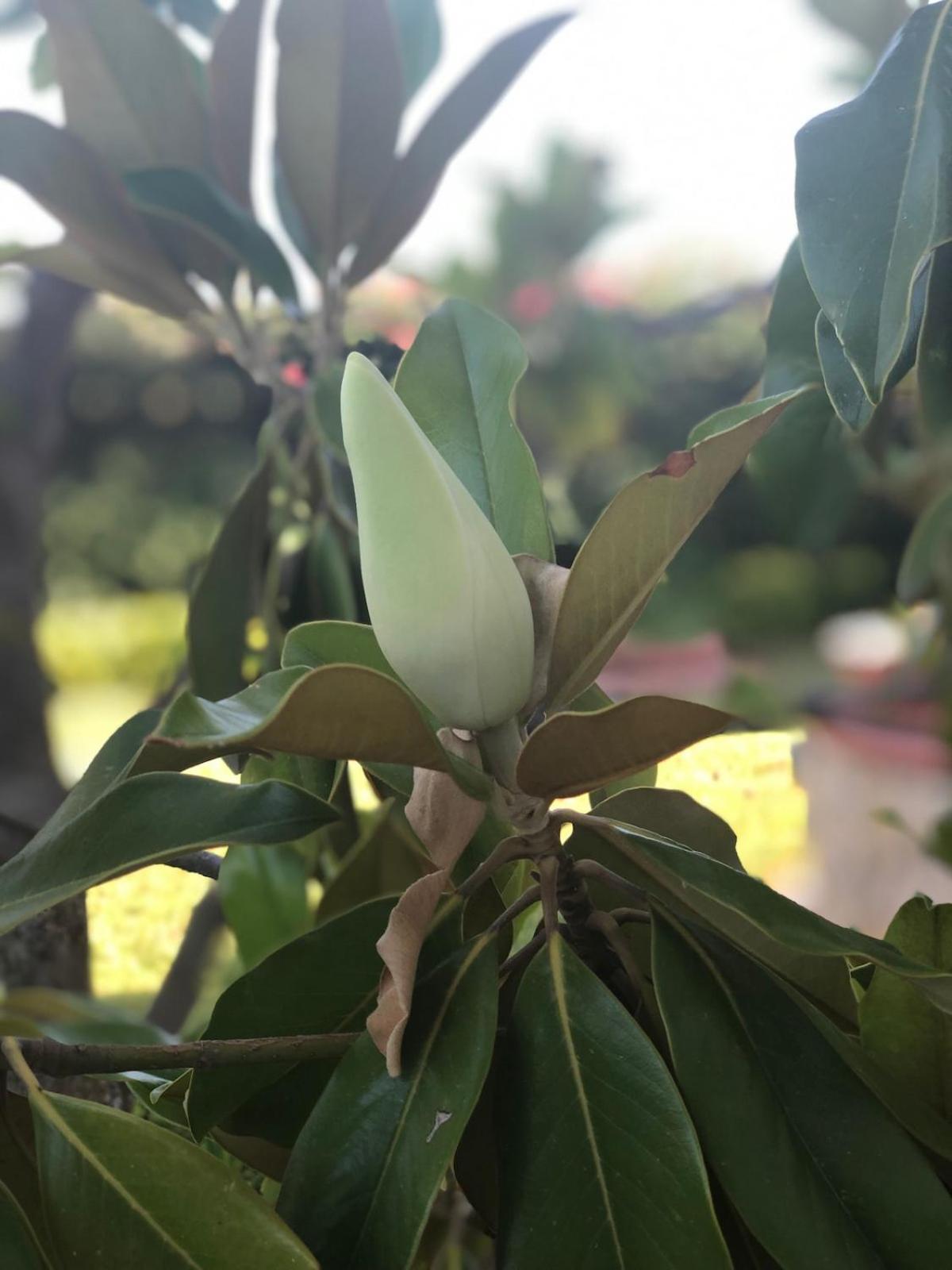 Vila Le Tre Palme Fontane Bianche Exteriér fotografie
