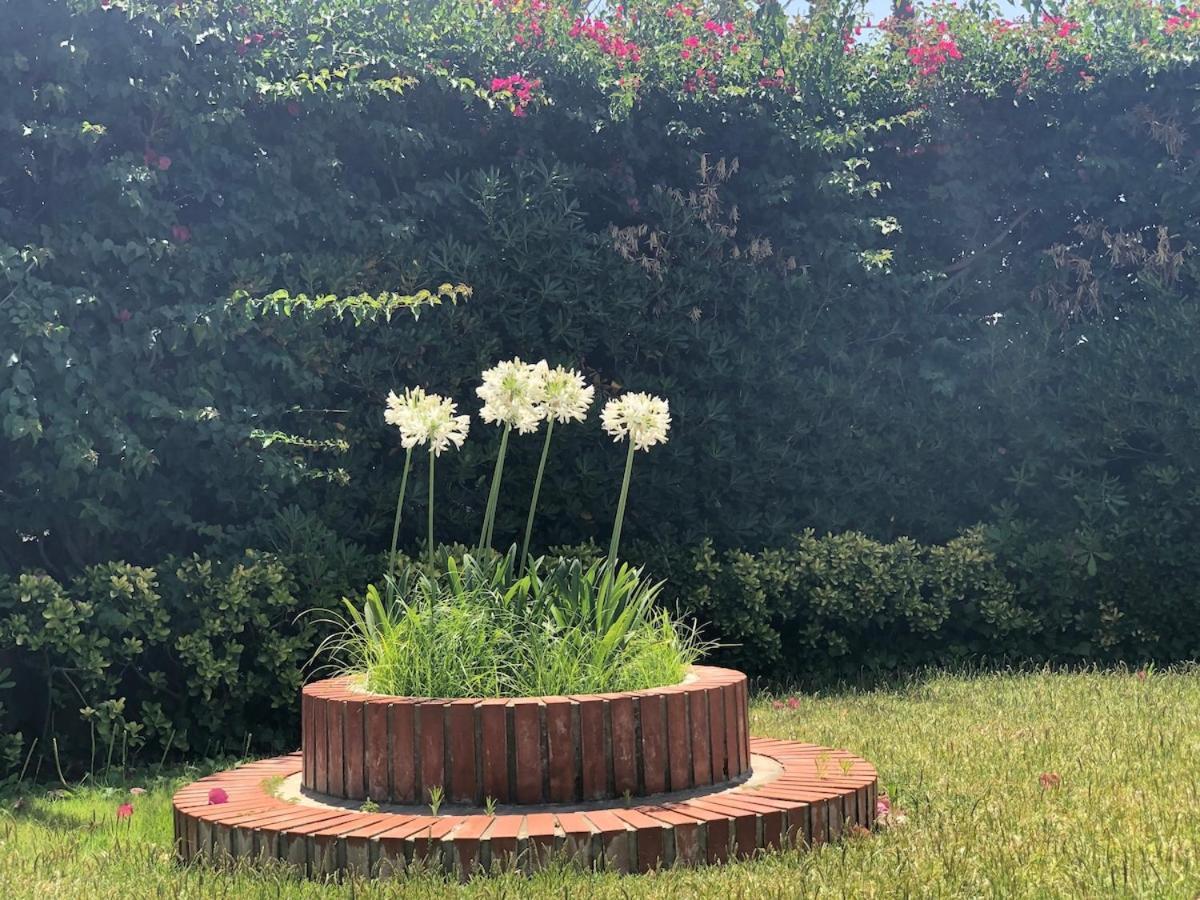 Vila Le Tre Palme Fontane Bianche Exteriér fotografie