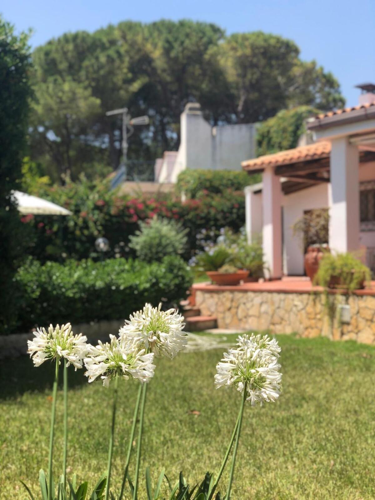 Vila Le Tre Palme Fontane Bianche Exteriér fotografie