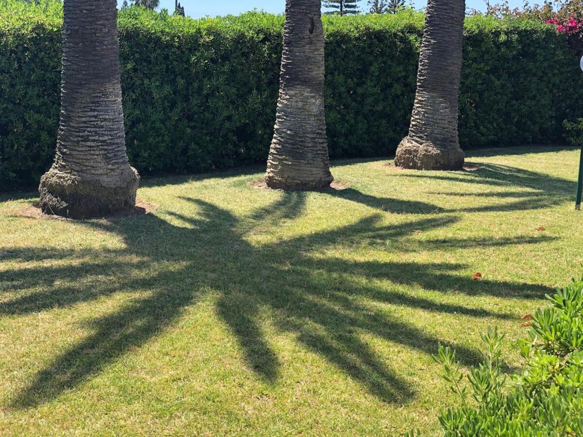 Vila Le Tre Palme Fontane Bianche Exteriér fotografie